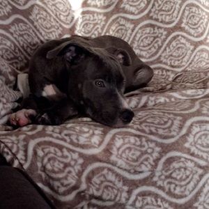 Meet your Posher, Brenda